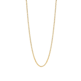 Basic Box Chain Necklace