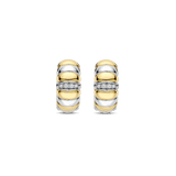 Vintage Bicolor Hoops