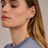 Long Zirconia Earrings