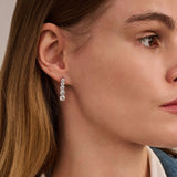 Long Zirconia Earrings