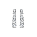 Long Zirconia Earrings