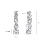 Long Zirconia Earrings