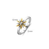 Radiant Sun Ring