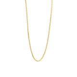 Basic Box Chain Necklace