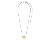 Forever Connected Bicolor Necklace