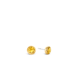 TI SENTO Earrings 7748TY