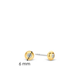 TI SENTO Earrings 7760ZY
