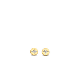 TI SENTO Earrings 7822ZY