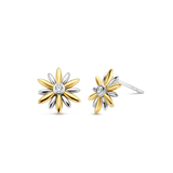 TI SENTO Earrings 7860ZY
