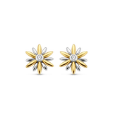 TI SENTO Earrings 7860ZY