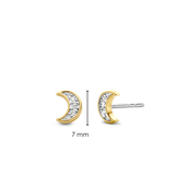 TI SENTO Earrings 7862ZY
