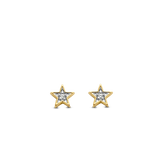 TI SENTO Earrings 7863ZY