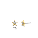 TI SENTO Earrings 7863ZY