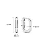 TI SENTO Earrings 7929SI